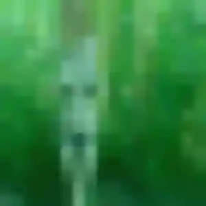 Juliette (29 ans) à Ambazac cherche un rencontre sexe aujourd'hui