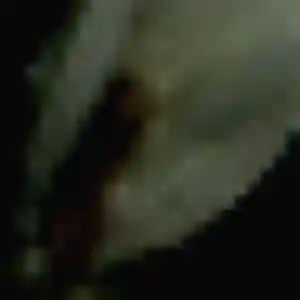 Bertrane, 27 ans, connectée à Amilly pour une rencontre coquine
