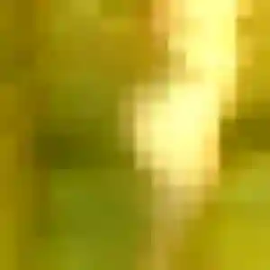 Aurore, 29 ans, connectée à Aubergenville pour un rencontre sexe