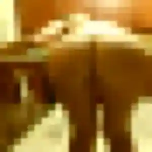 Camille, femme de 25 ans veut rencontre sexe à Aureilhan