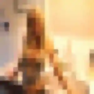 rencontre sexe à Avallon : photo de Estee, 23 ans - sans engagement