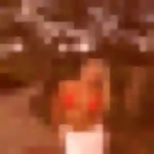 Photo sexy de Thais, 27 ans à Avranches - rencontre sans lendemain