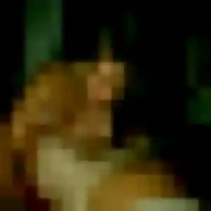 Catherine, 33 ans, en ligne à Bain-de-Bretagne pour une rencontre coquine