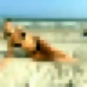Photo de Graziella à Ballancourt-sur-Essonne (28 ans) - rencontre sexe sans inscription