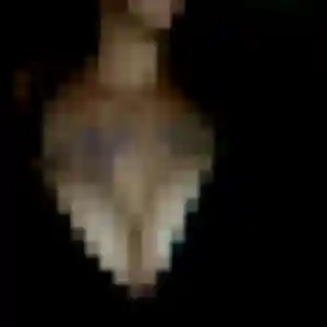 rencontre sexe à Ballancourt-sur-Essonne : profil de Wendy, 22 ans - sans engagement