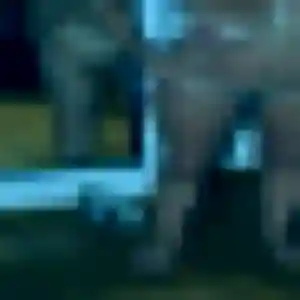 Nina, 22 ans, disponible à Beaucourt pour une rencontre coquine