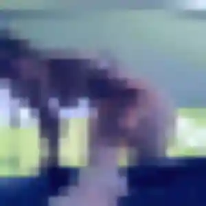 Wahiba (26 ans) à Beaumont cherche une rencontre ce soir