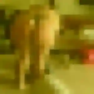 Tiffany (38 ans) à Beausoleil cherche une rencontre aujourd'hui