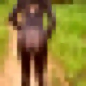 Ornella (25 ans) à Beauvoisin attend un rencontre sexe ce soir