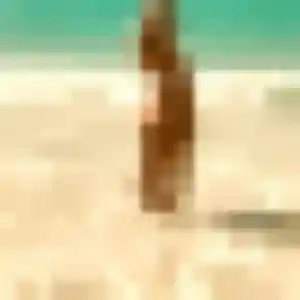 Profil de Sara à Bellerive-sur-Allier (34 ans) - rencontre sexe gratuit
