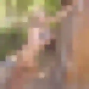 Photo de Josiane à Bessan (24 ans) - rencontre sexe discret