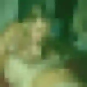 Romane de Beuvry, 19 ans - rencontre sexe sans lendemain
