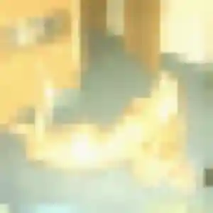 Profil de Garance à Bohain-en-Vermandois (45 ans) - rencontre sexe gratuit