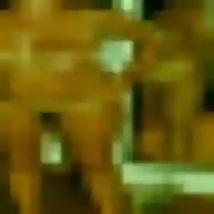 Malika de Bois-le-Roi, 20 ans - rencontre sexe en toute liberté
