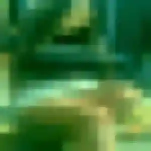 Rosalie, 43 ans, dispo pour rencontre sexe à Bois-le-Roi