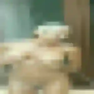 Tatiana, 28 ans, en ligne à Bordères-sur-l'Échez pour une rencontre coquine