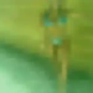 Profil de Imane à Bouéni (31 ans) - rencontre sexe sans inscription