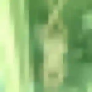 Melodie, 25 ans, connectée à Bourbourg pour une rencontre coquine