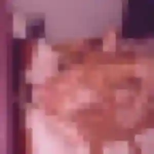 Aurelie, fille de 34 ans cherche rencontre sexe à Cachan