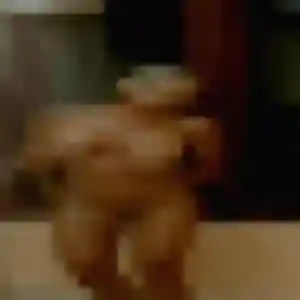 Bernadette, 22 ans, cherche un rencontre sexe à Cagnes-sur-Mer