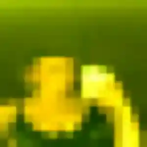 Photo perso de Penelope, 33 ans à Caussade - plan discret