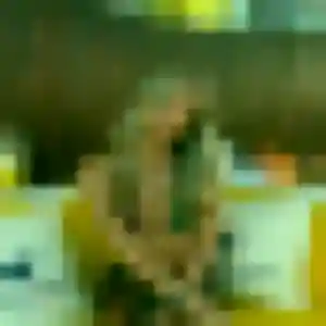 Berengere, femme de 31 ans propose rencontre sexe à Chartres-de-Bretagne