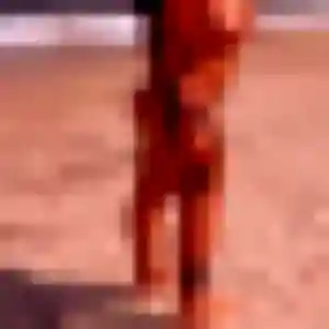 Fatima de Châtelaillon-Plage, 20 ans - rencontre sexe discret