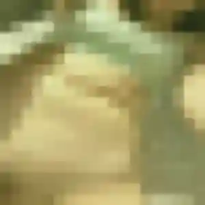 Wanda de Condat-sur-Vienne, 19 ans - rencontre sexe sans lendemain