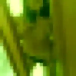 Delice (42 ans) à Couëron propose un rencontre sexe ce soir