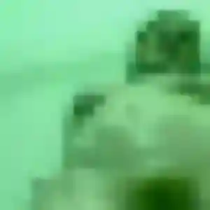 Ornella, 45 ans, dispo pour rencontre sexe à Coulogne