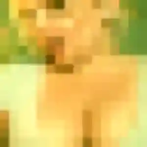 Photo de Benedicte à Erdre-en-Anjou (23 ans) - rencontre sexe sans inscription