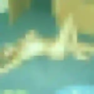 Barbara, 19 ans, cherche un rencontre sexe à Étréchy
