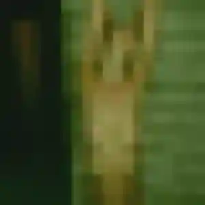 Photo de Eglantine à Évron (36 ans) - rencontre sexe sans inscription