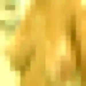 rencontre sexe à Fécamp : profil de Zephyrine, 41 ans - inscription gratuite