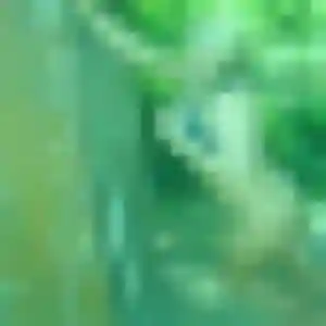 Natasha (40 ans) à Fleury-sur-Orne attend un rencontre sexe ce soir
