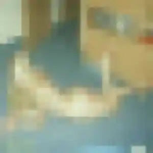 Eglantine, femme de 38 ans cherche rencontre sexe à Gargenville