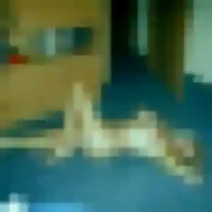 rencontre sexe à Gonesse : photo de Geraldine, 39 ans - inscription gratuite
