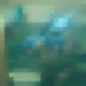 rencontre sexe à Grigny : photo de Jacqueline, 38 ans - accès libre
