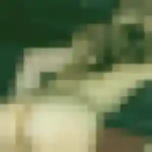 Berenice, 28 ans, disponible à Hasparren pour un rencontre sexe
