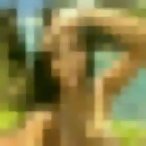Profil de Alix à Héric (33 ans) - rencontre sexe sans inscription