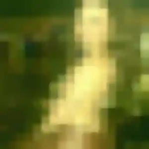 Profil de Delphine à Hyères (20 ans) - rencontre sexe discret