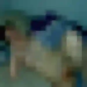 Profil de Gwendoline à Issy-les-Moulineaux (38 ans) - rencontre sexe gratuit