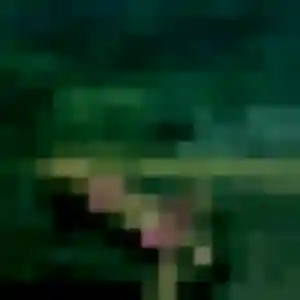 Photo de Domitille à Jarville-la-Malgrange (37 ans) - rencontre sexe gratuit