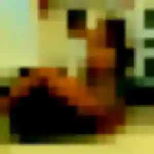 Eglantine, 36 ans, en ligne à L'Isle-Jourdain pour un rencontre sexe