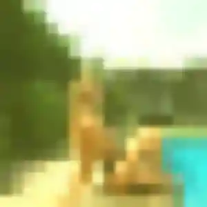 Clarisse, 37 ans, cherche un rencontre sexe à La Chapelle-d'Armentières
