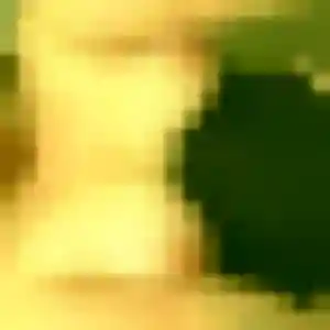 Sylvie (27 ans) à Lannion propose une rencontre rapidement