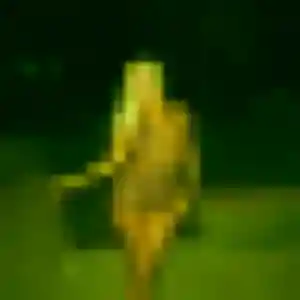 Lena, femme de 23 ans cherche rencontre sexe à Le Cannet