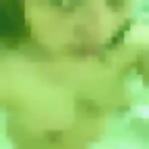 Pauline, femme de 29 ans propose rencontre sexe à Le Haillan