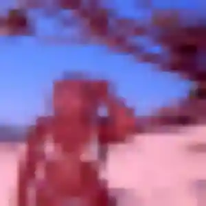 Soraya (42 ans) à Le Passage propose un rencontre sexe ce soir