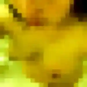 Nicole, 38 ans, dispo pour rencontre sexe à Le Soler